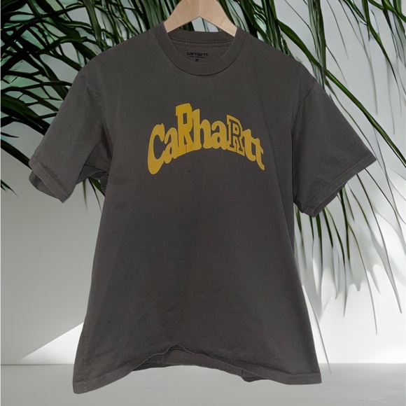 Carhartt WIP Amherst Print T-Shirt - Picture 1 of 4